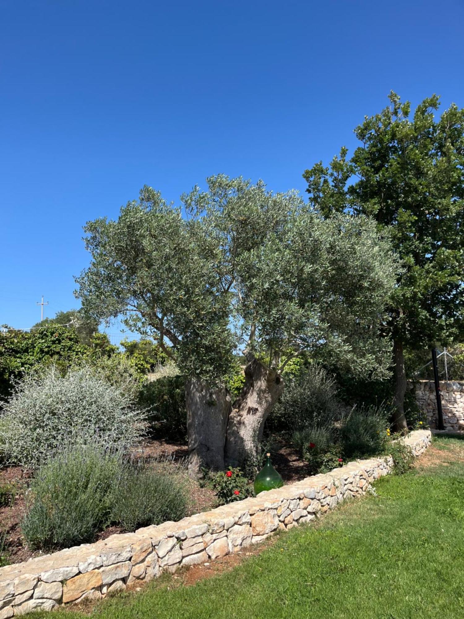 Trulli Don Diego Bed & Breakfast Noci Exterior photo